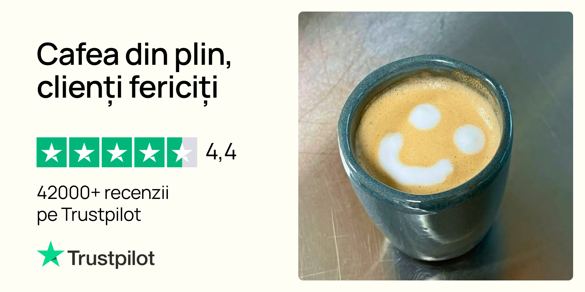 PerfectTed | Matcha cu vanilie - 10 capsule compatibil cu Nespresso®